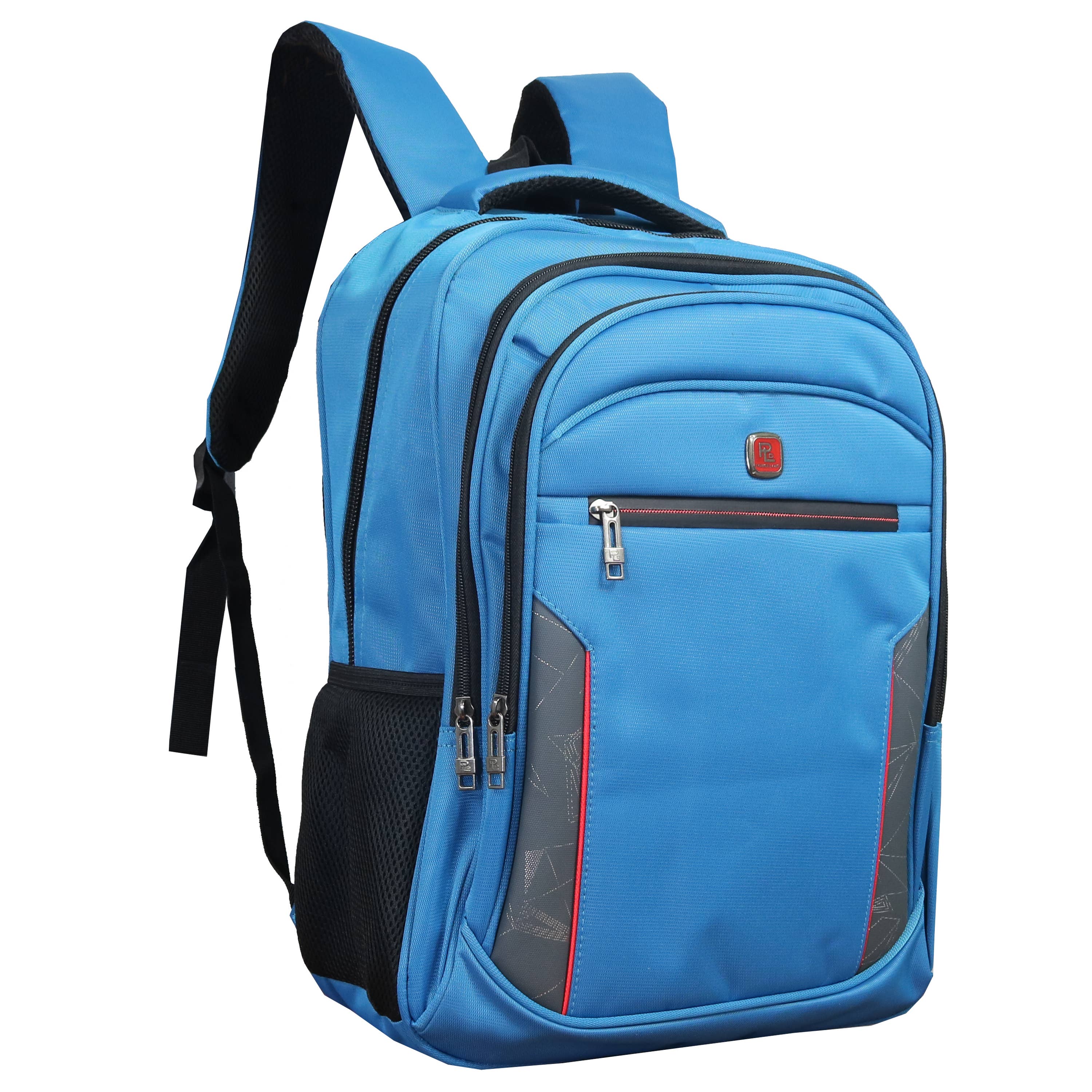 17-Inch Multi-Compartment Laptop Backpack – Padded