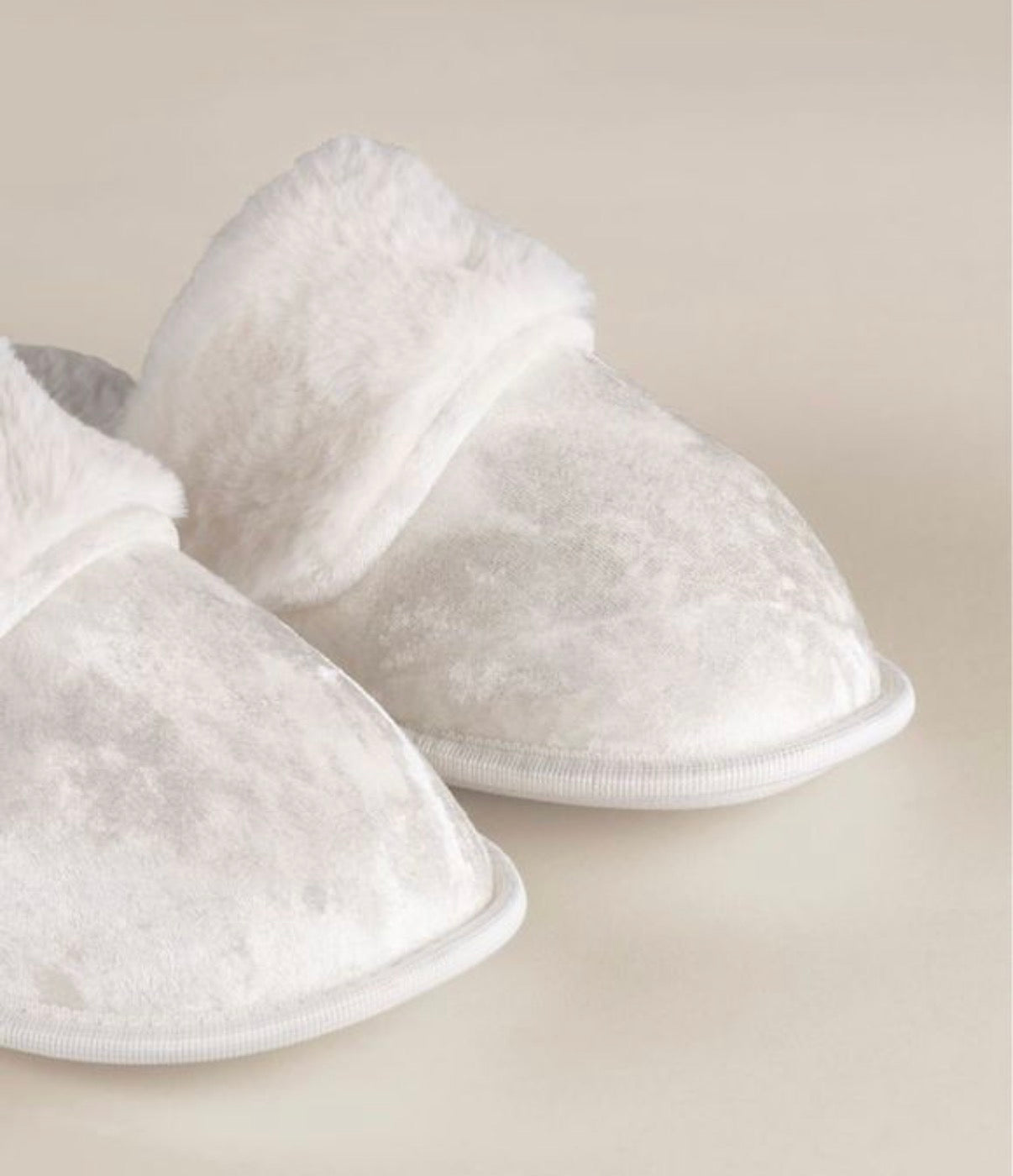 Velvet Slipper